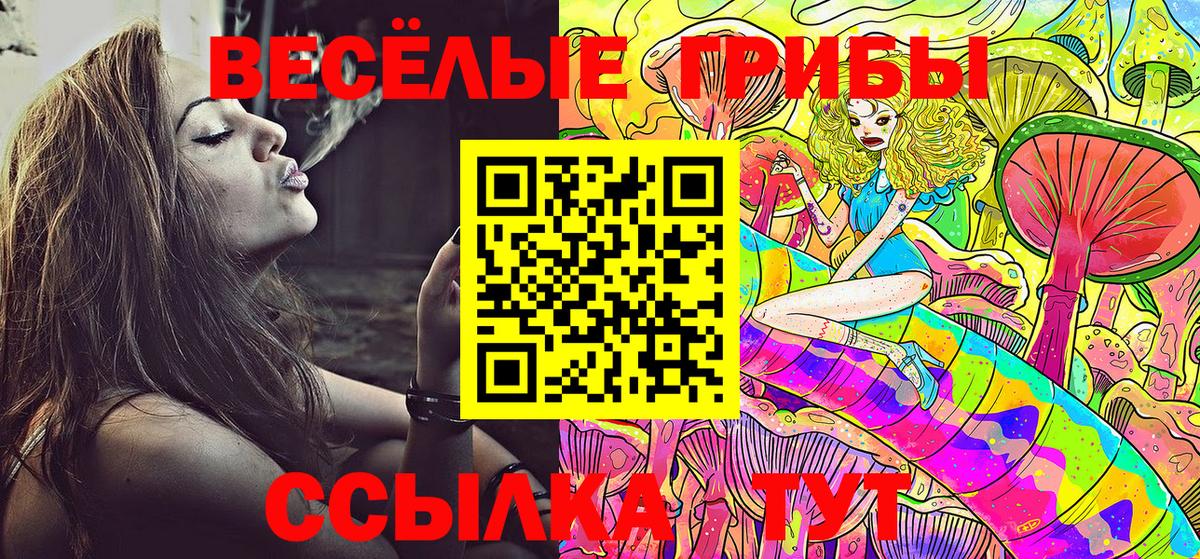 Псилоцибиновые грибы мухоморы Алейск